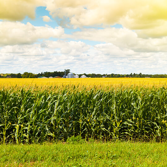 The-Rodale-Institute-Farming-Systems-Trial