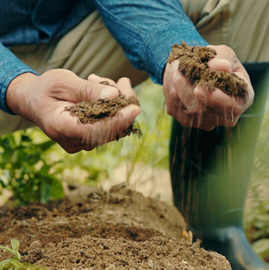 Why-Organic-Agriculture-Matters